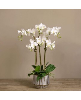Artificial Orchid 
