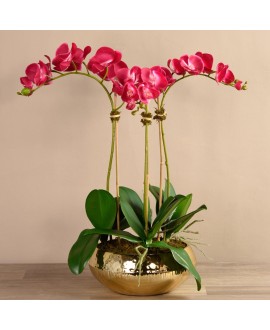 Artificial Orchid 