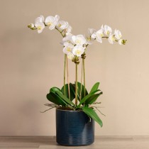 Artificial Orchid 