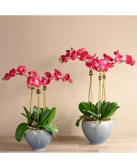 Artificial Orchid 