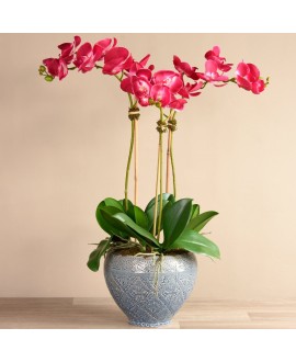 Artificial Orchid 