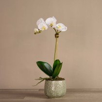 Artificial Orchid 