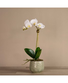 Artificial Orchid 