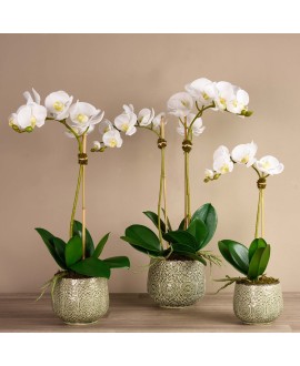 Artificial Orchid 