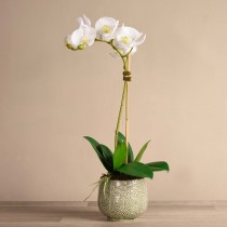 Artificial Orchid 