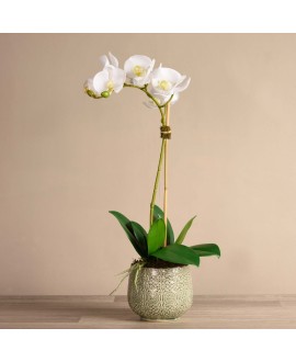 Artificial Orchid 