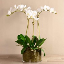 Artificial Orchid 