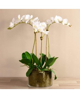Artificial Orchid 