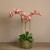 Artificial Orchid 