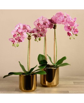 Artificial Orchid 