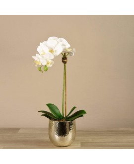 Artificial Orchid