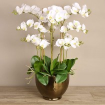 Artificial Orchid 