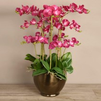 Artificial Orchid 