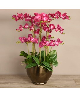 Artificial Orchid 