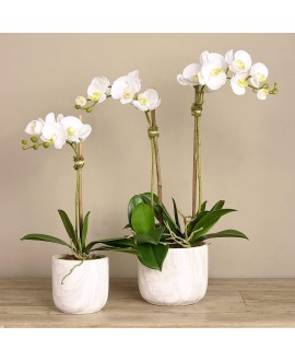 Artificial Orchid 