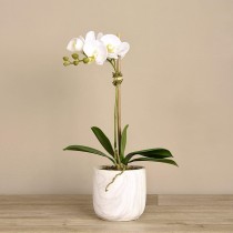 Artificial Orchid 