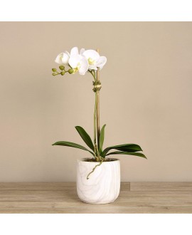 Artificial Orchid 
