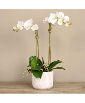 Artificial Orchid 