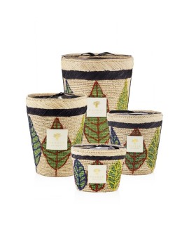 Ravintsara Lamba Candle