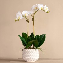 Artificial Orchid 