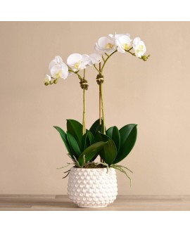 Artificial Orchid 