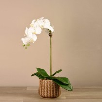 Artificial Orchid 