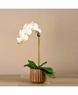 Artificial Orchid 