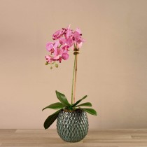 Artificial Orchid 