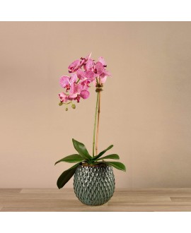 Artificial Orchid 