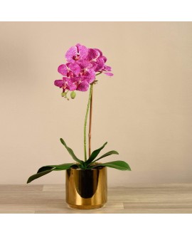 Artificial Orchid 
