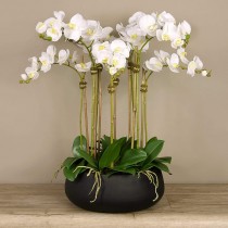 Artificial Orchid 