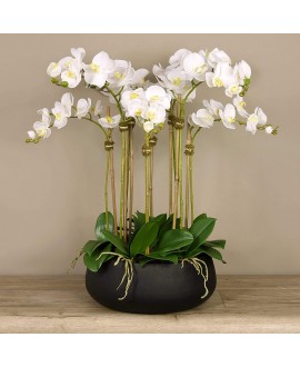 Artificial Orchid 