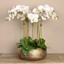 Artificial Orchid 