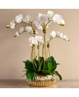 Artificial Orchid 
