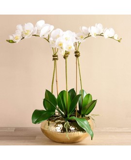 Artificial Orchid 