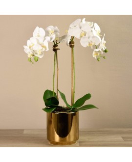 Artificial Orchid 