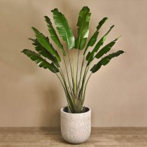 Artificial Banana Tree