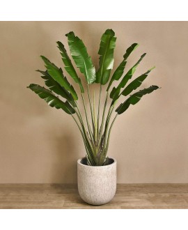 Artificial Banana Tree