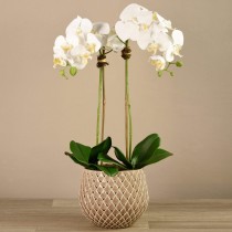 Artificial Orchid 