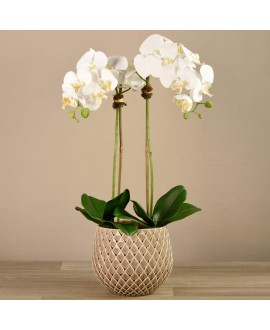 Artificial Orchid 