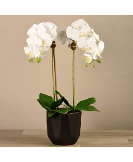 Artificial Orchid 
