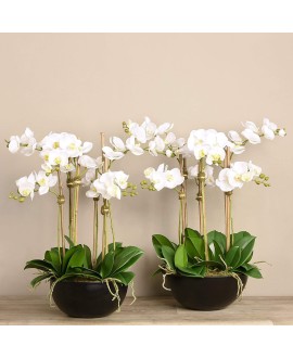 Artificial Orchid 