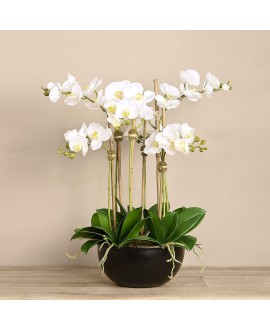 Artificial Orchid 