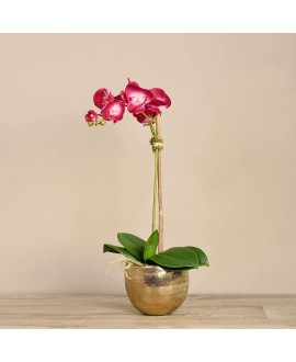 Artificial Orchid 