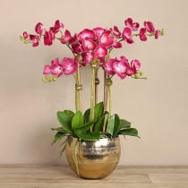 Artificial Orchid 
