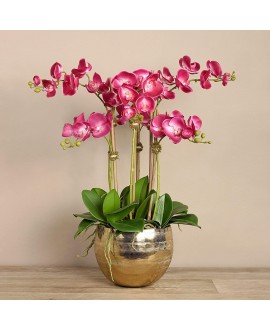 Artificial Orchid 