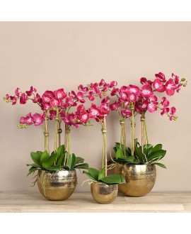 Artificial Orchid 
