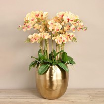 Artificial Orchid 