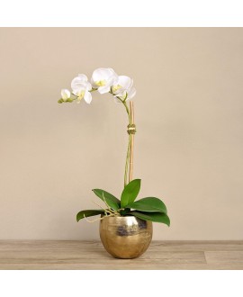 Artificial Orchid 