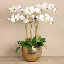 Artificial Orchid 